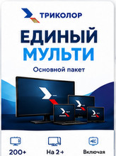 Единый Мульти